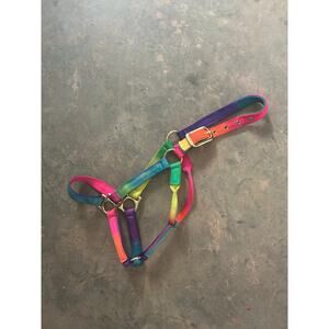 Small Colorful Rainbow Horse Halter